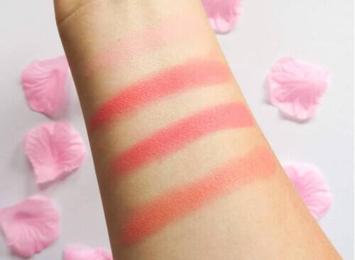 269.1-Technic_Matte_Mega_Blush_Palette ๐๐๐๐ก๐ง๐ข๐ ๐๐๐ ๐ ๐๐๐ญ๐ญ๐ ๐๐ฅ๐ฎ๐ฌ๐ก - Image 2